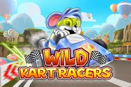 WILD KART RACERS